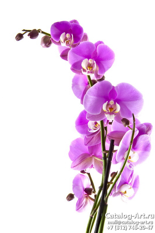 Натяжные потолки с фотопечатью - Розовые орхидеи 66
